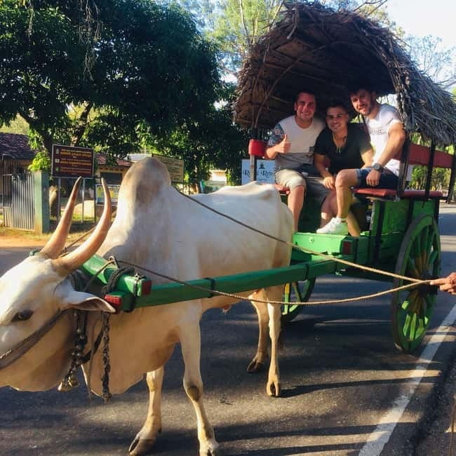 Kandy : Sigiriya Guided Day Tour By Tuk Tuk - Five useful things to know before booking