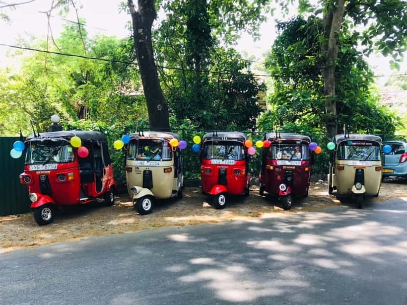 Kandy : Sigiriya Guided Day Tour By Tuk Tuk - Dambulla Royal Cave Temple in 30 minutes