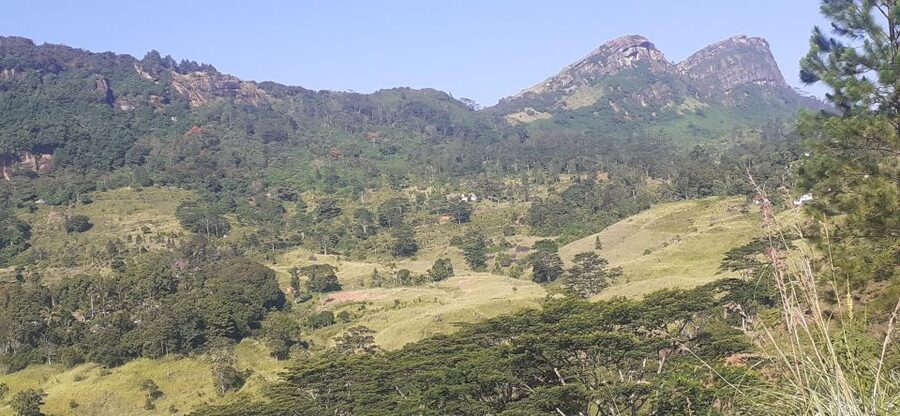 Kandy : Sigiriya Guided Day Tour By Tuk Tuk - What the $34 price really covers
