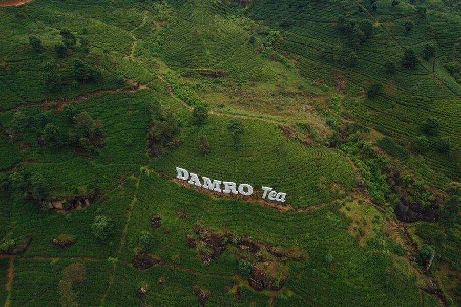 Kandy To Nuwara Eliya Day Tour By Tuk Tuk Sri lanka - Is $28 a good value?