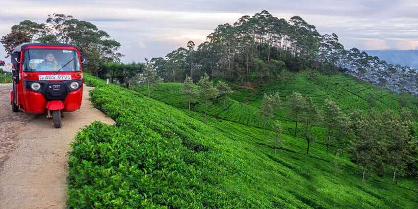 Kandy To Nuwara Eliya Day Tour By Tuk Tuk Sri lanka - Why the Kandy to Nuwara Eliya road matters