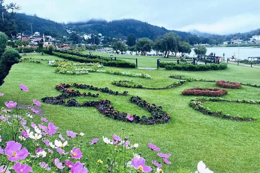 Kandy to Nuwaraeliya Day Or Drop Tour By Local Tuk Tuk - Viewpoints and the first look at tea country