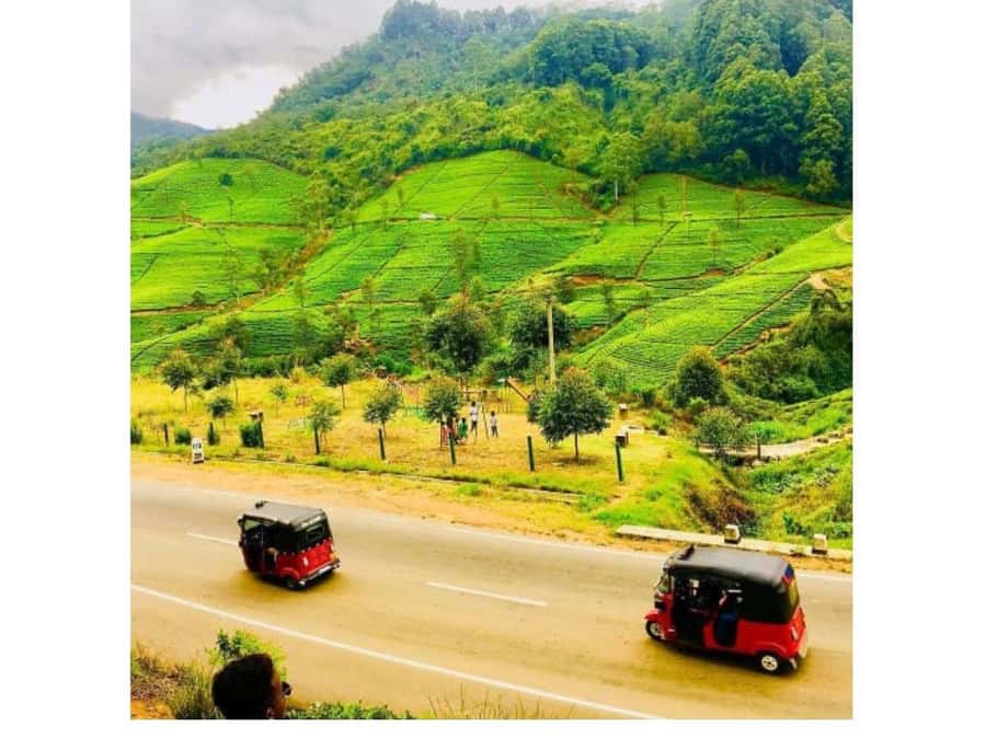 Kandy to Nuwaraeliya Day Or Drop Tour By Local Tuk Tuk - Damro Tea Factory and the taste of Ceylon tea