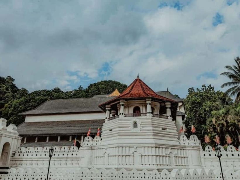 Kandy to Pinnawala Day Tour By Local Tuk Tuk Expedition - Royal Botanical Garden at Peradeniya