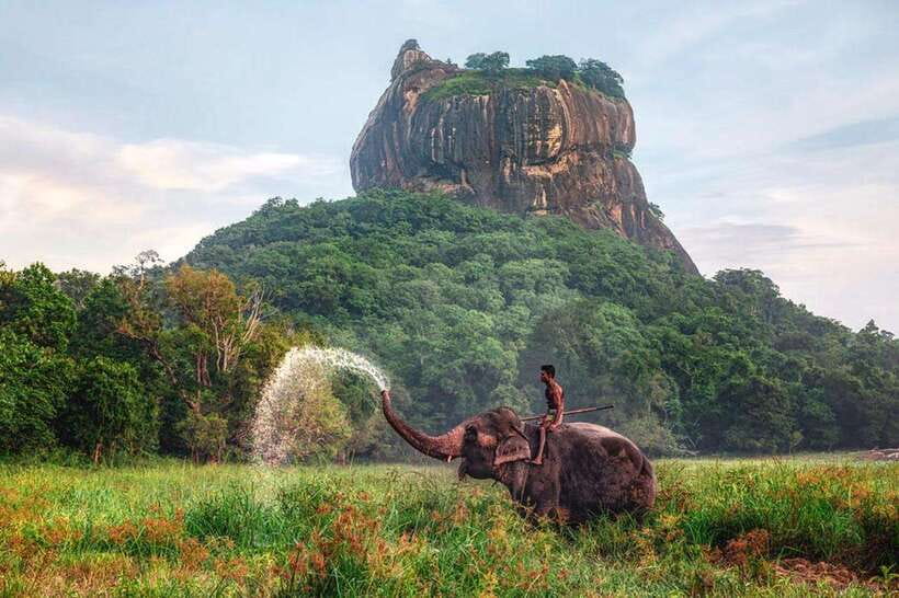 Kandy to Sigiriya Private Tour by Tuk Tuk with All Fees - The spice garden stop: useful, but keep your spending head