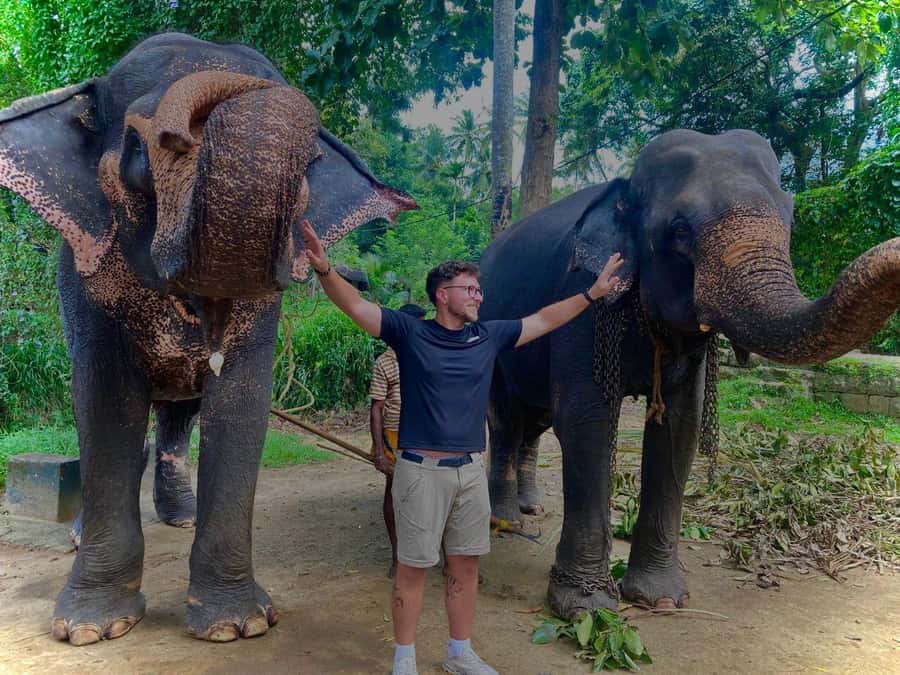 Kandy: Tuk Tuk Adventure with Pinnawala & Ambuluwawa Tower - Key points to know before booking