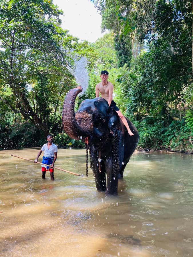 Kandy: Tuk Tuk Adventure with Pinnawala & Ambuluwawa Tower - Why this tuk-tuk day works in Kandy