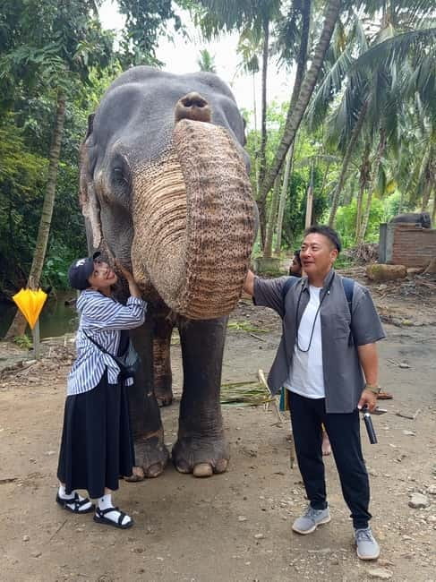 Kandy: Tuk Tuk Adventure with Pinnawala & Ambuluwawa Tower - Pinnawala and the river elephants