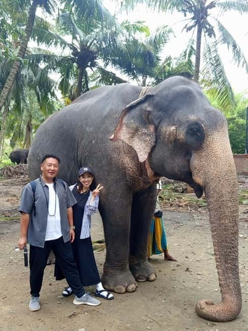Kandy: Tuk Tuk Adventure with Pinnawala & Ambuluwawa Tower - The Temple of the Sacred Tooth Relic