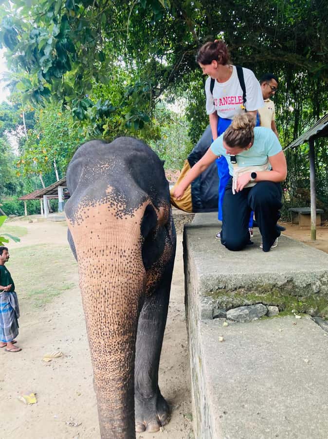 Kandy: Tuk Tuk Adventure with Pinnawala & Ambuluwawa Tower - Dance, tea, spices, wood carving, and batik