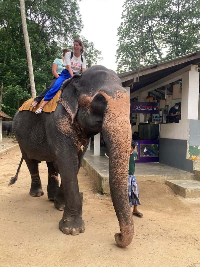 Kandy: Tuk Tuk Adventure with Pinnawala & Ambuluwawa Tower - Ambuluwawa Tower: the most adventurous stop