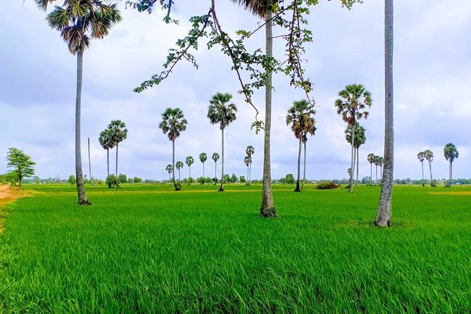 Killing Field & Paddy Rice Fields Tuk Tuk Adventure - Why this day works beyond the Phnom Penh city center
