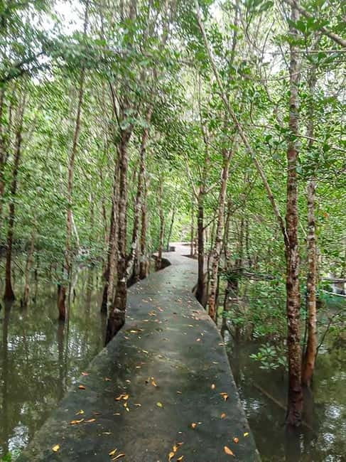 Koh Lanta Cultural Tuk-Tuk Tour: Old Town, Batik & Mangroves - The mangrove forest adds quiet and wildlife