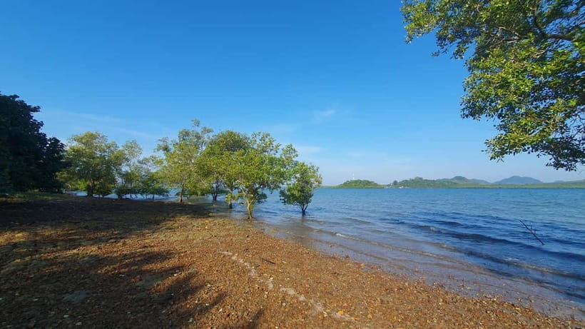 Koh Lanta Cultural Tuk-Tuk Tour: Old Town, Batik & Mangroves - Koh Lanta Old Town rewards a slow walk