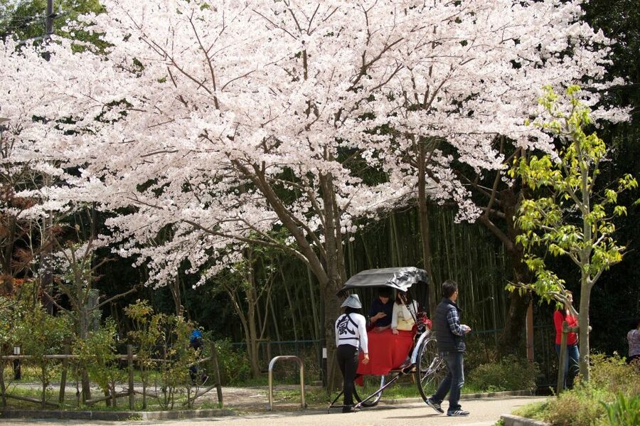 Kyoto: Arashiyama Customized Rickshaw Tour & Bamboo Forest - Rakushisya’s cottage and Arashiyama’s quieter side