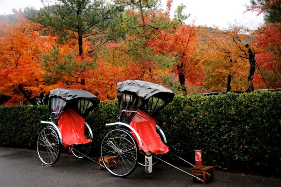 Kyoto: Arashiyama Customized Rickshaw Tour & Bamboo Forest - The guides make the ride