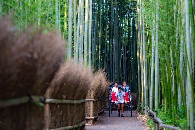 Kyoto Arashiyama Rickshaw Tour with Bamboo Forest - Timing, heat, snow, and rain