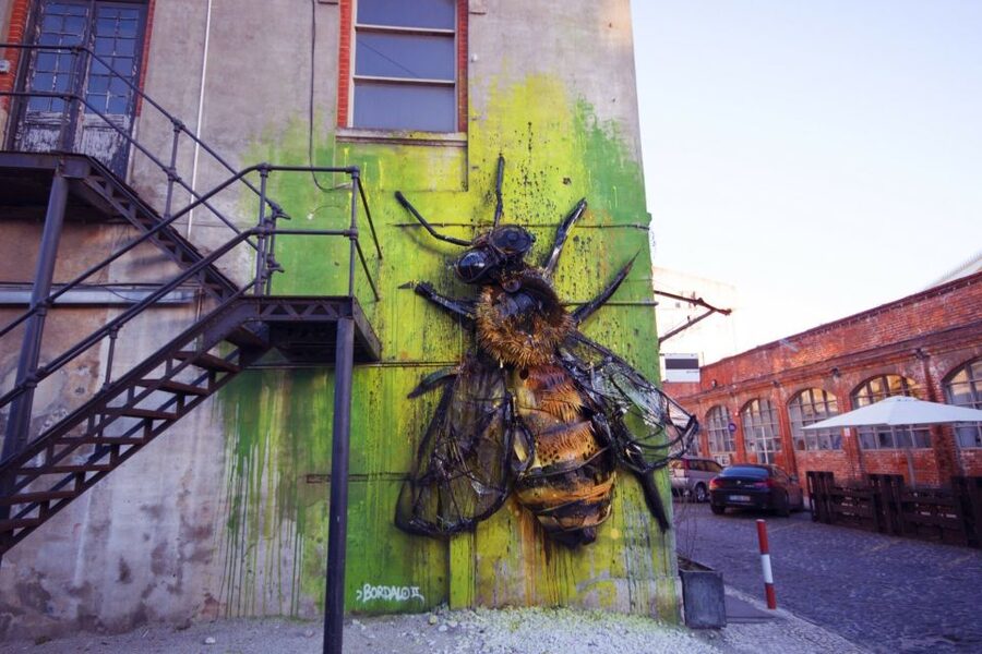 Lisbon: 3-Hour Street Art Tuk Tuk Tour - Guides who add the most value