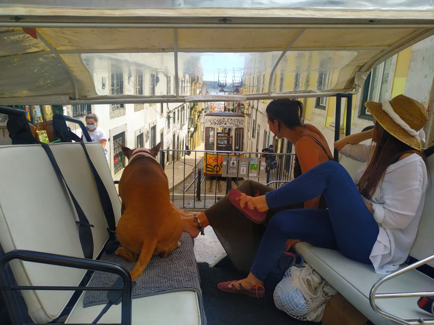 Lisbon: All City Premium Private Guided Tour by Tuk-Tuk - Lisbon Cathedral, Alfama, and the old hills