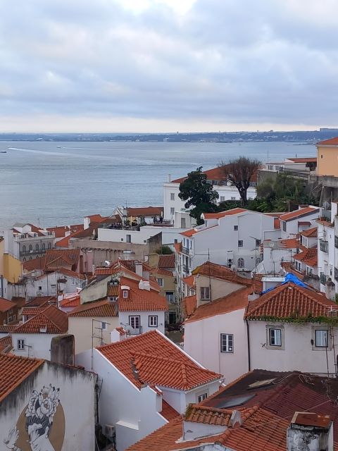 Lisbon: Chiado, Bairro Alto, and Principe Real Tuk Tuk Tour - Ending in the calm of Jardim do Príncipe Real