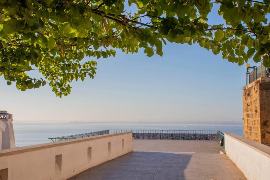Lisbon: Early Morning TukTuk Tour - hotel/cruise ship pickup - Who should book this Lisbon ride?