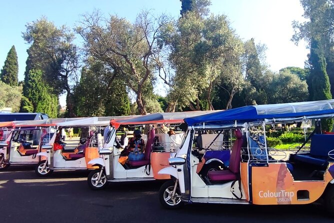Lisbon Highlights: Private Tuk Tuk Tour Adventure Sightseeing - São Vicente, Feira da Ladra, and the National Pantheon