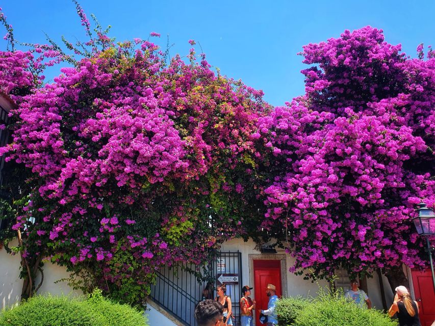Lisbon: Old Town TukTuk Tour and Scenic Viewpoints in Alfama - Guides, storytelling, and driving style