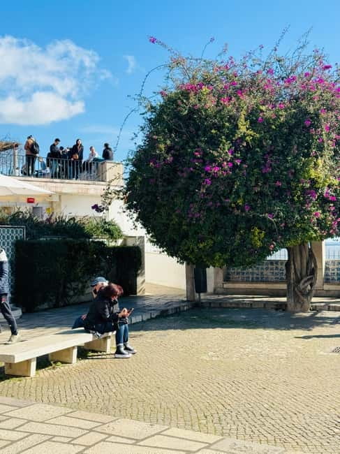 Lisbon: Private Sightseeing Tour by TukTuk - Bairro Alto, São Pedro de Alcântara, and Eduardo VII Park
