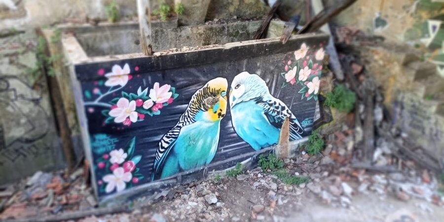 Lisbon: Private Tuk-Tuk Street Art Tour for 2,5 hours - Who will enjoy this most
