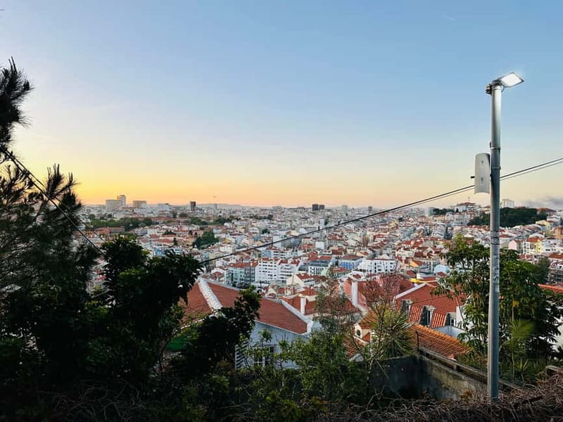 Lisbon Tuk Tuk Tour 1 Hour 30 Min - Lisbon Cathedral and Santa Luzia
