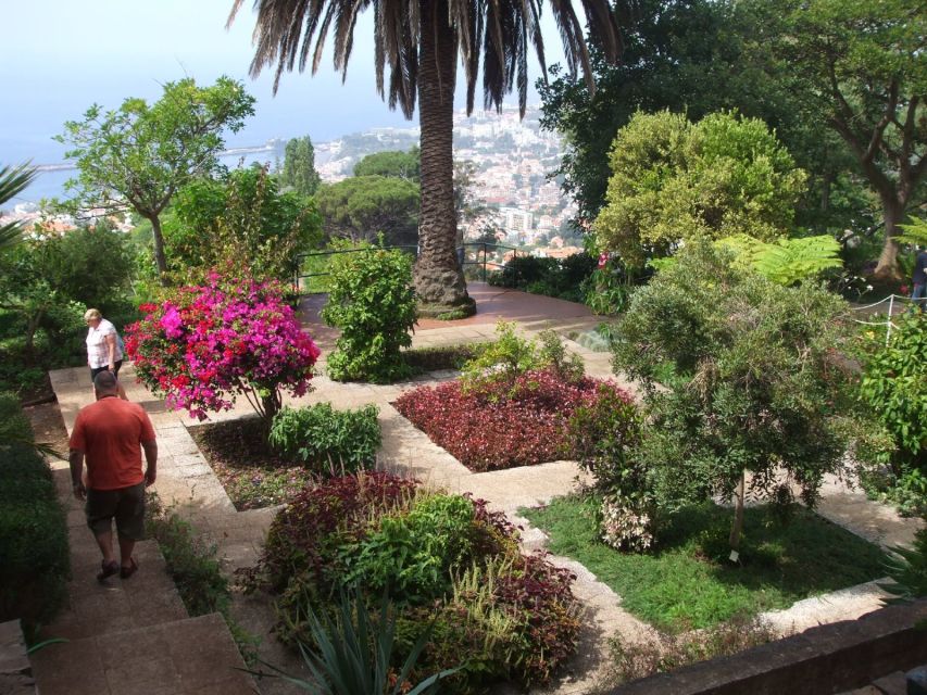 Madeira: Botanical Garden in a Tuk-Tuk Tour - Key points to know before booking