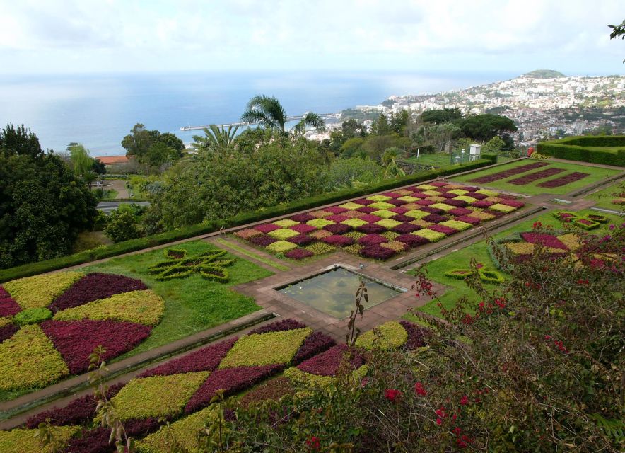 Madeira: Botanical Garden in a Tuk-Tuk Tour - Exploring Madeira’s Botanical Garden
