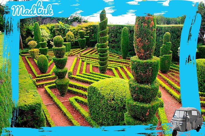 Madeira Botanical Gardens and Old Town Tuk Tuk Tour by MadTuk - A quick ride through Funchal’s market and Old Town