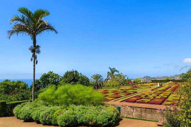 Madeira Botanical Gardens and Old Town Tuk Tuk Tour by MadTuk - The important detail: the guide waits outside
