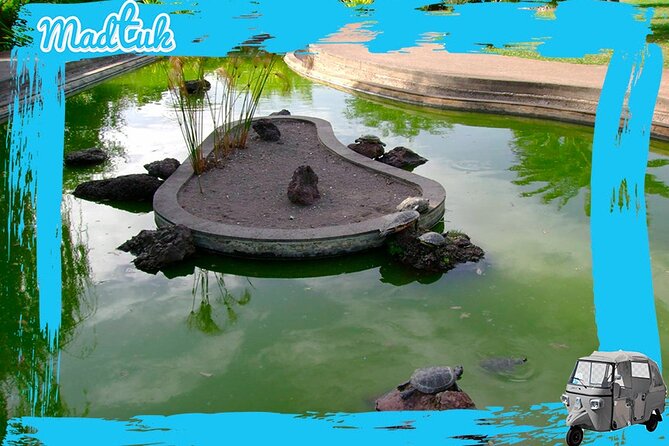 Madeira Botanical Gardens and Old Town Tuk Tuk Tour by MadTuk - What the guide adds to the ride