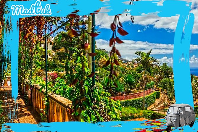 Madeira Botanical Gardens and Old Town Tuk Tuk Tour by MadTuk - Who will enjoy this experience most?