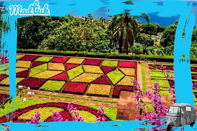 Madeira Botanical Gardens and Old Town Tuk Tuk Tour by MadTuk - Practical restrictions and comfort notes