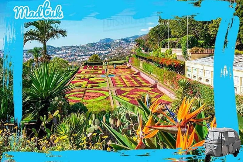 Madeira: Botanical Gardens + Old Town Tuk-Tuk Tour by MadTuk - The 25-minute ride to Madeira Botanical Garden
