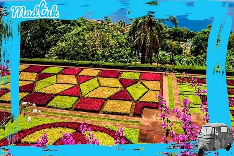 Madeira: Botanical Gardens + Old Town Tuk-Tuk Tour by MadTuk - Returning through the Farmers’ Market and Zona Velha