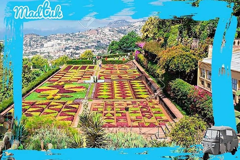 Madeira: Botanical Gardens + Old Town Tuk-Tuk Tour by MadTuk - Small details that can make the ride better