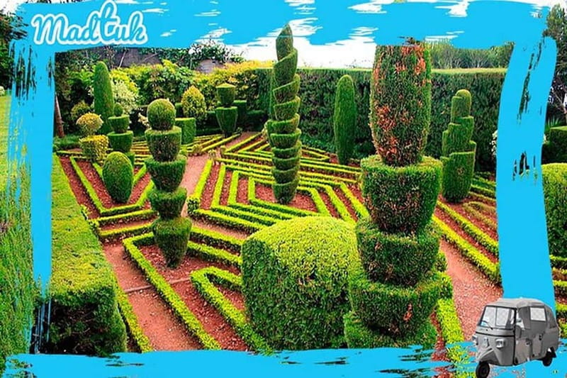 Madeira: Botanical Gardens + Old Town Tuk-Tuk Tour by MadTuk - Starting in Funchal and passing the marina