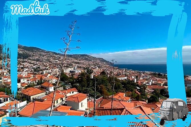 Madeira Funchal City Historical Tuk Tuk Guided Tour by MadTuk - Quinta das Cruzes adds a glimpse of Madeira’s past