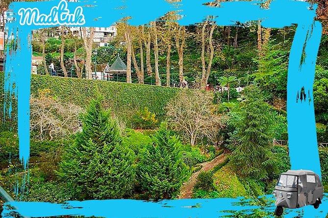 Madeira Monte Tobbogans and Old Town Tuk Tuk Tour by MadTuk - Guides Bruno and Fabio