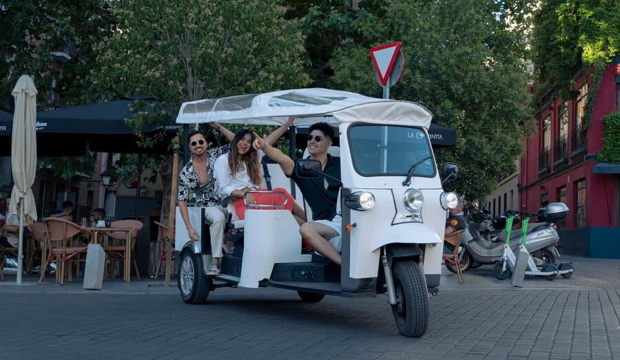 Madrid: Eco-Friendly, Private, and Unique Tuk Tuk Experience - The route from San Miguel to the Royal Palace