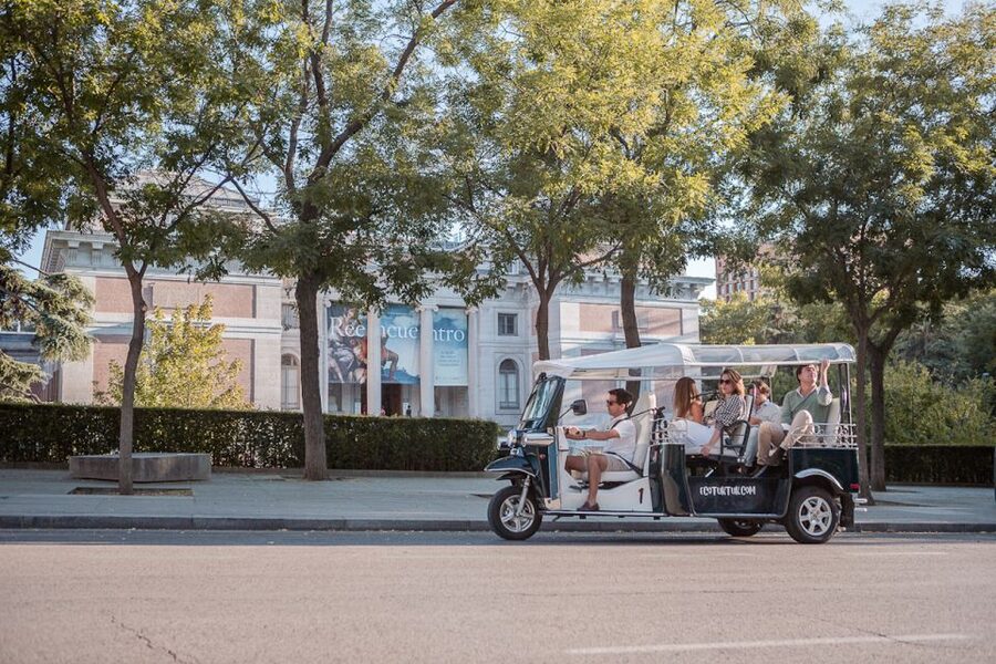 Madrid: Private City Tour by Eco Tuk Tuk - San Miguel, Plaza Mayor, and the old central streets