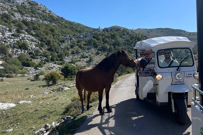 Makarska: Skywalk Tour with a Tuk Tuk - Skip the line ticket - Arriving at the glass Skywalk