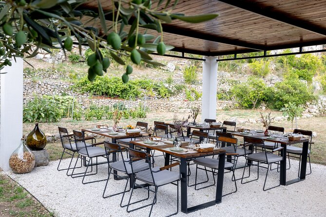 Makarska Tuk Tuk Tour Olive Grove, Scenic Views and Tastings - Should you book it?