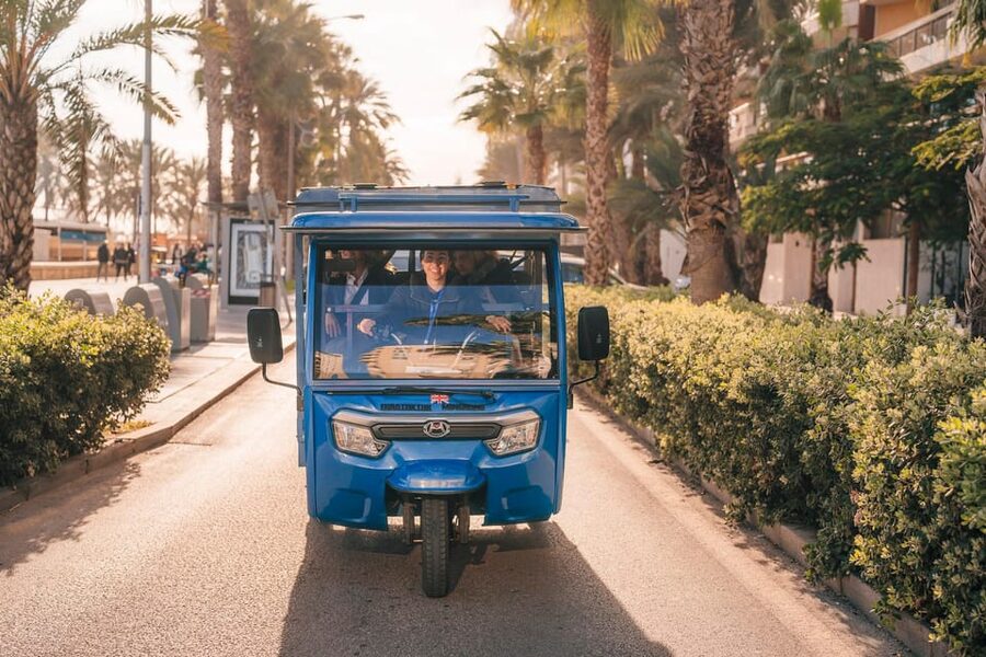Málaga 1-hour by TukTuki: Essential and Private Tour - Port views and Centre Pompidou