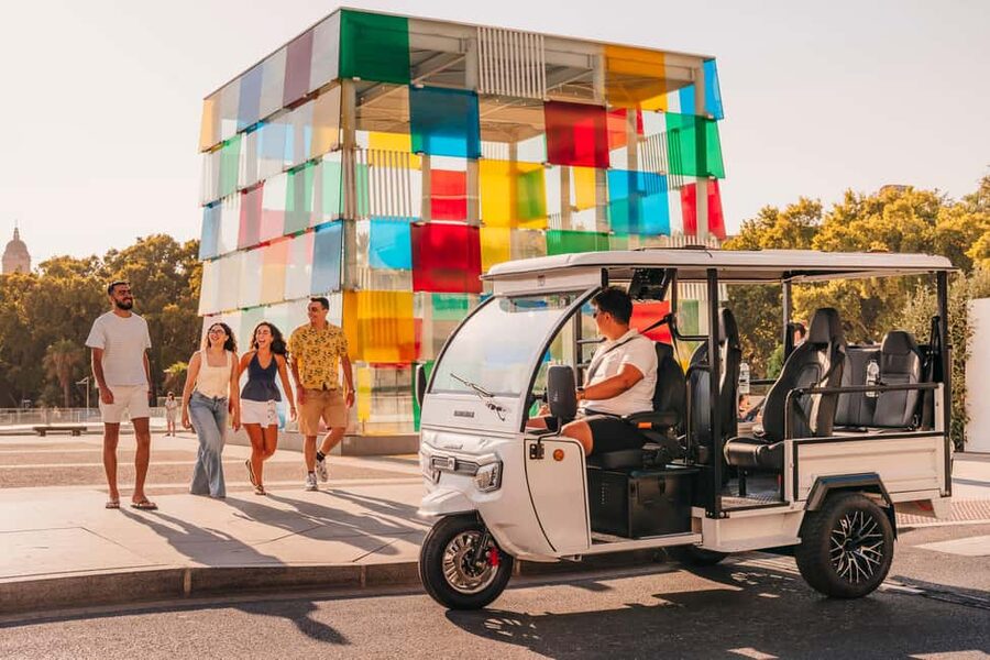 Málaga: 1-hour Private Tuk Tuk Tour - Playa de La Malagueta and El Limonar
