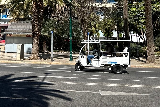 Malaga by Tuk Tuk i : 1 or 2 hours Private city tour - What this Malaga tuk-tuk tour is really like